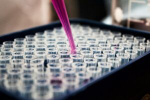 Researchers analysing field documents around a shared table